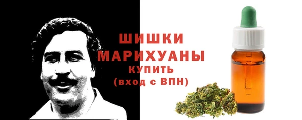 СК Алзамай