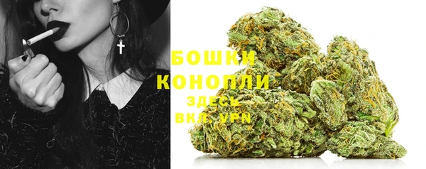 стафф Осташков