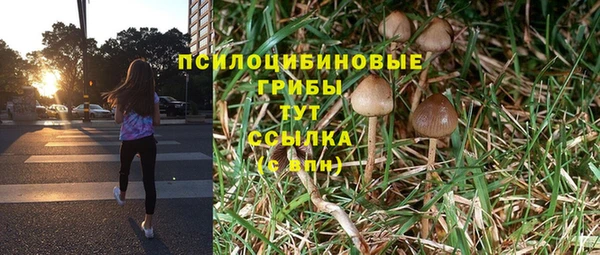 кристаллы Осинники