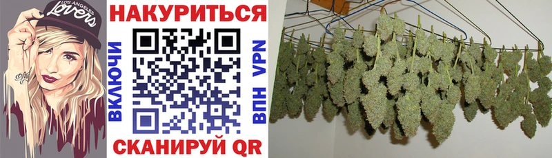 купить наркотик Любань Конопля индика